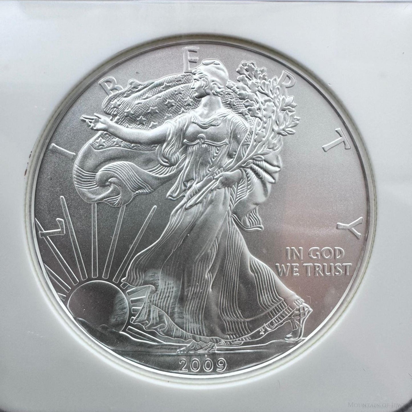 2009 US 1.0oz .999 Fine Silver American Silver Eagle NGC MS69 #3256288-322EX