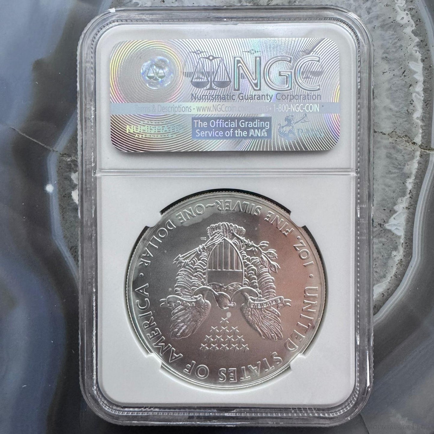 2011 US 1.0oz .999 Fine American Silver Eagle 25th Year of Issue NGC MS69 #012