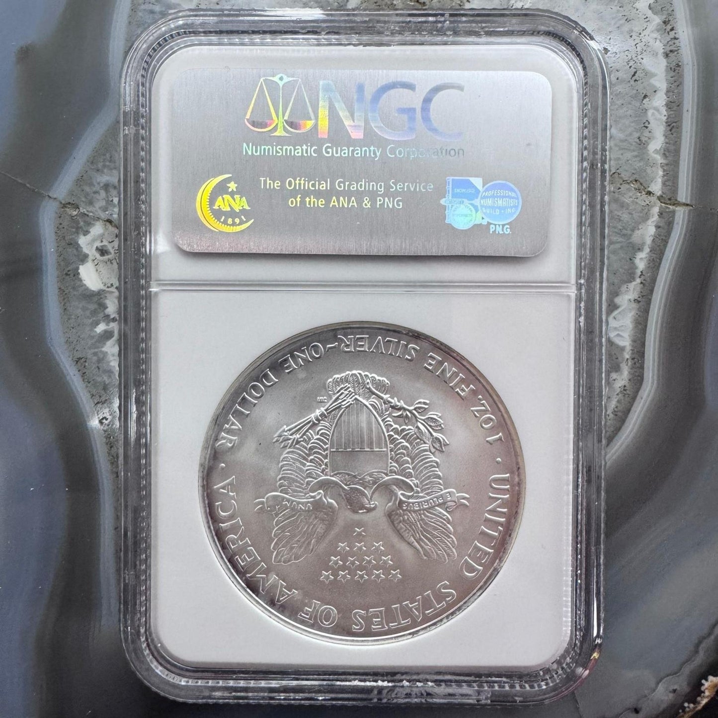 2006 US 1.0oz .999 Fine American Silver Eagle NGC MS69 #225