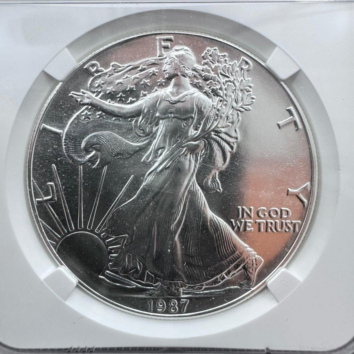 1987 US 1.0oz .999 Fine Silver American Silver Eagle NGC MS69 #6567385-123EG