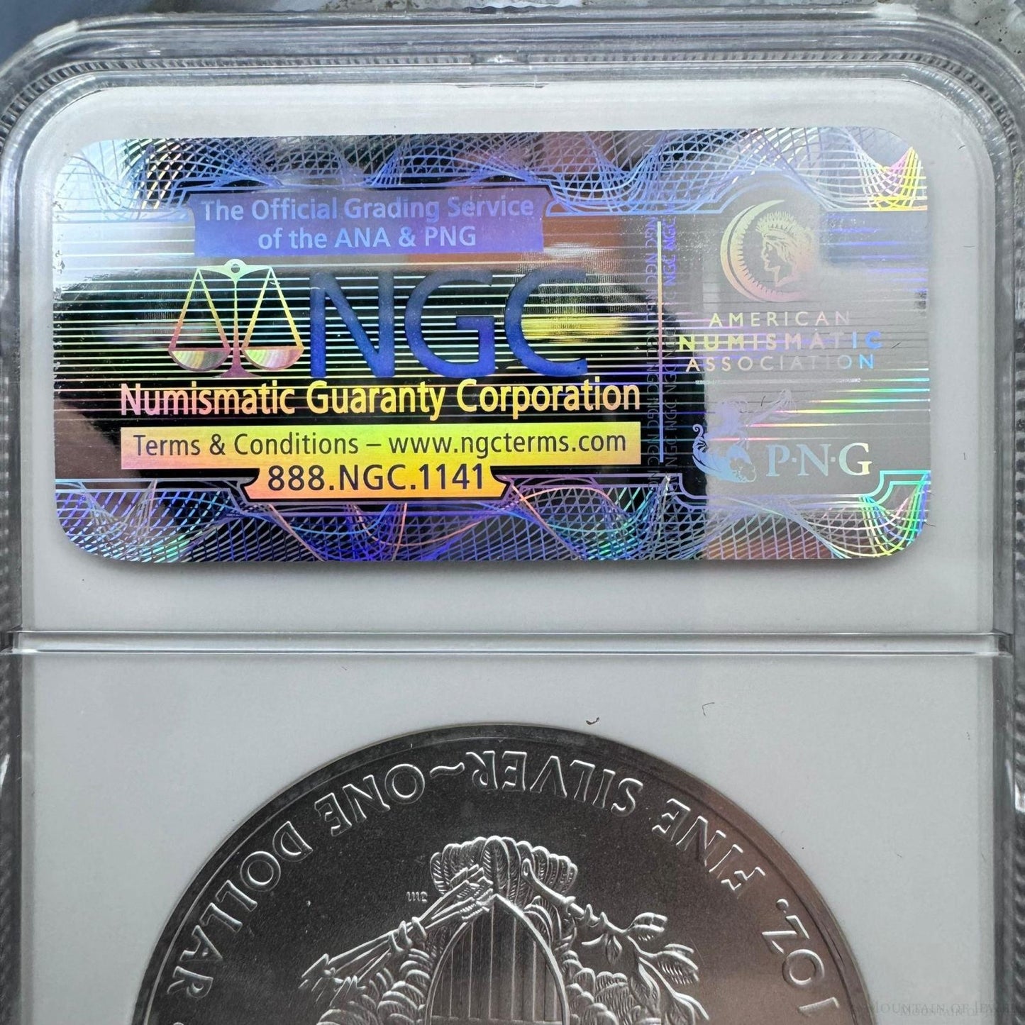 2009 US 1.0oz .999 Fine Silver American Silver Eagle NGC MS69 #3256288-322EX