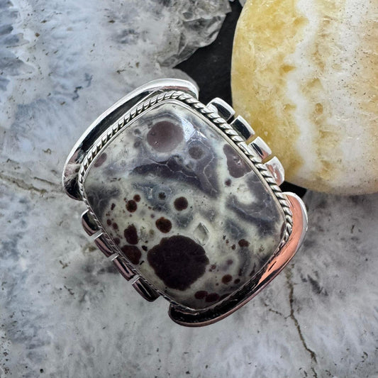 Sterling Silver Southwestern Style Rectangle Asteroid Jasper Ring Size 9 For Women
