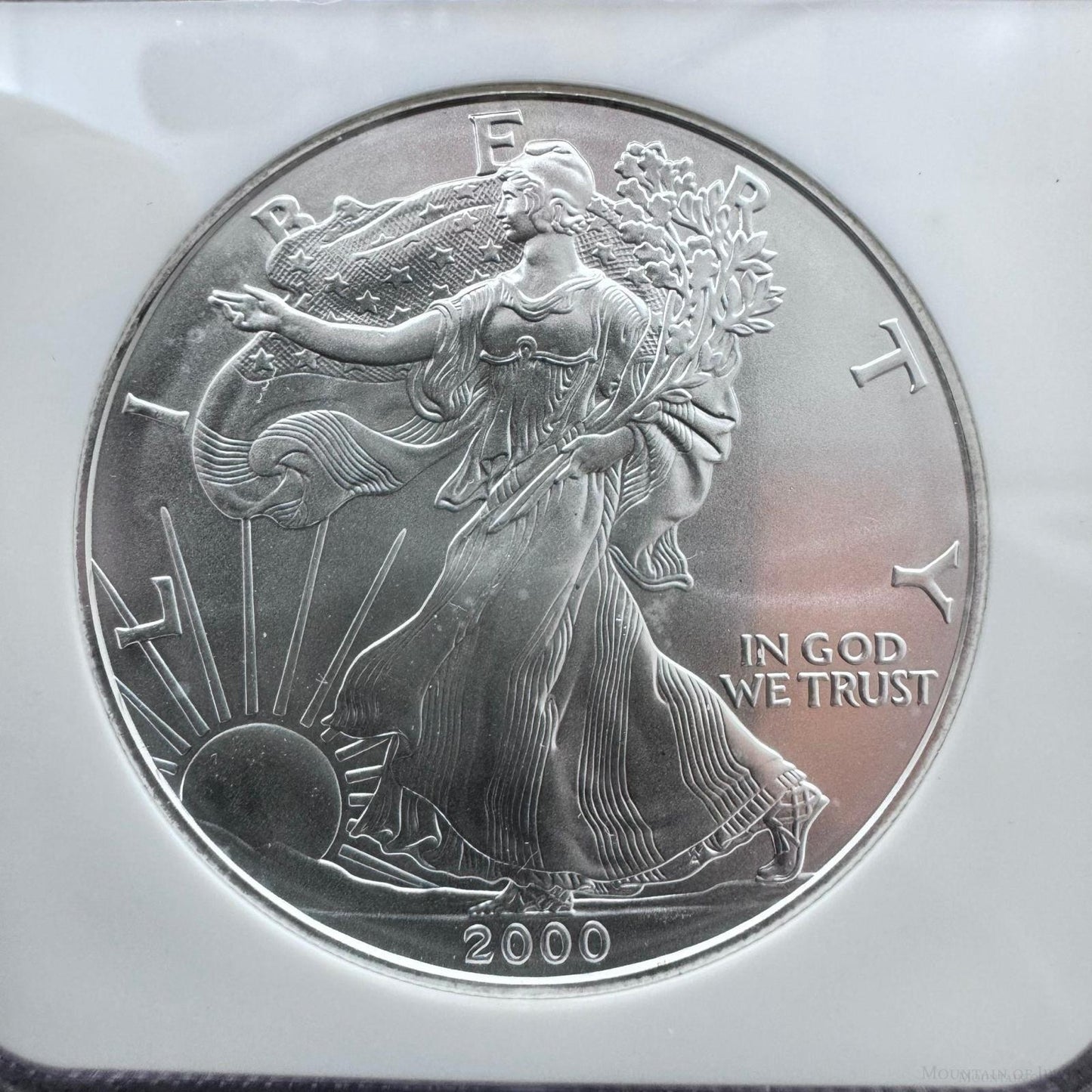 2000 US 1.0oz .999 Fine Silver American Silver Eagle NGC MS69 #341374-047EX