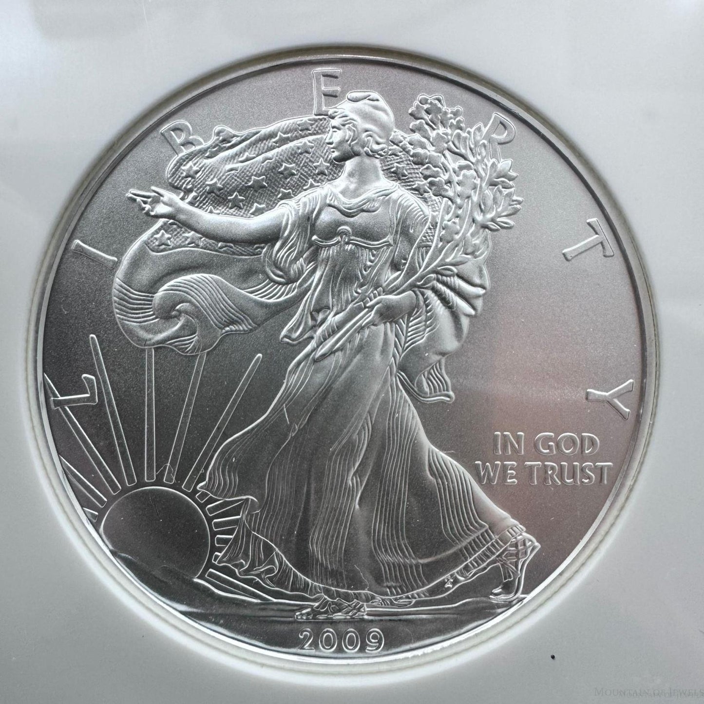 2009 US 1.0oz .999 Fine Silver American Silver Eagle NGC MS69 #3256288-321EX