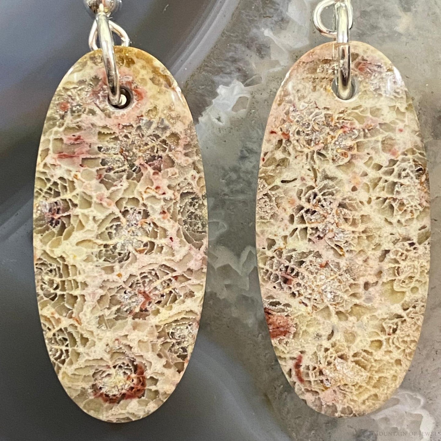 Sterling Silver Oval Fossilized Coral Slab Dangle Earrings For Women #055