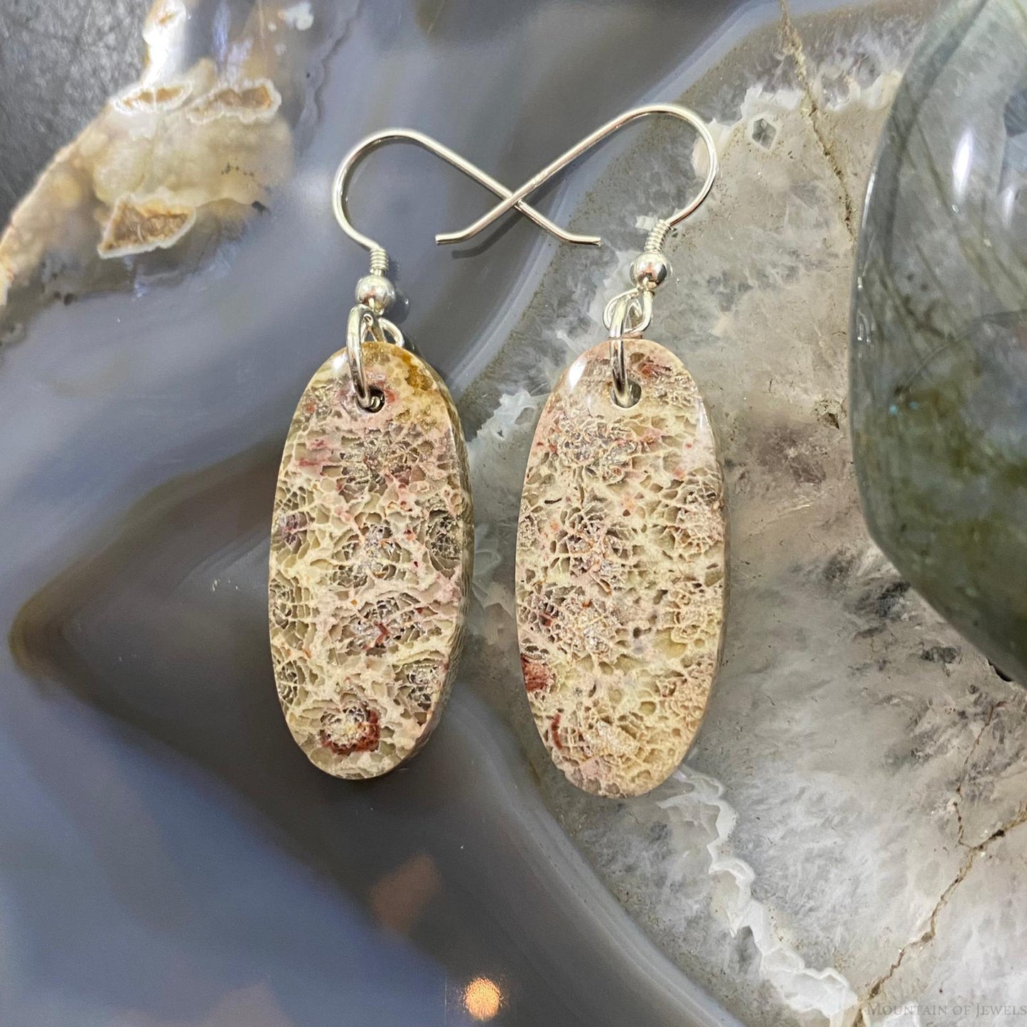 Sterling Silver Oval Fossilized Coral Slab Dangle Earrings For Women #055