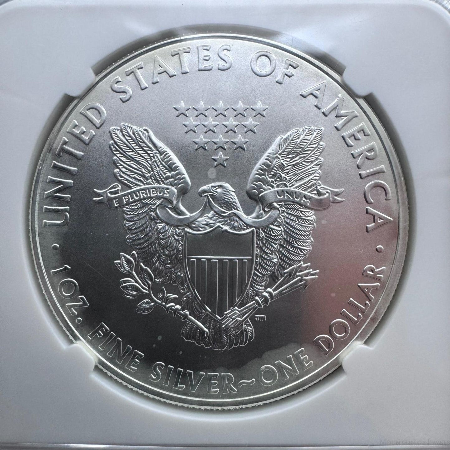 2011 US 1.0oz .999 Fine American Silver Eagle 25th Year of Issue NGC MS69 #012