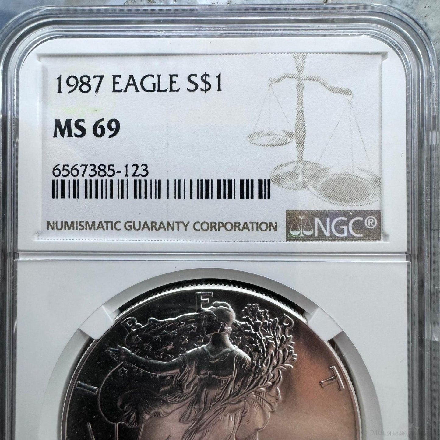 1987 US 1.0oz .999 Fine Silver American Silver Eagle NGC MS69 #6567385-123EG
