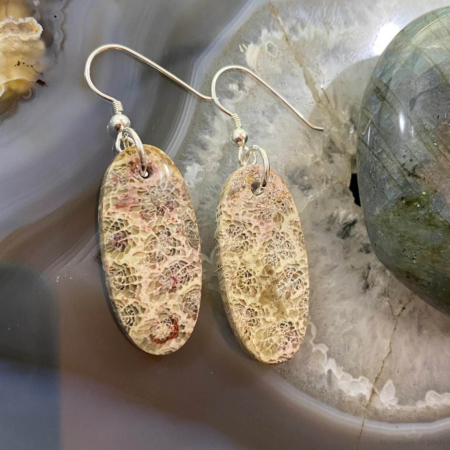 Sterling Silver Oval Fossilized Coral Slab Dangle Earrings For Women #055