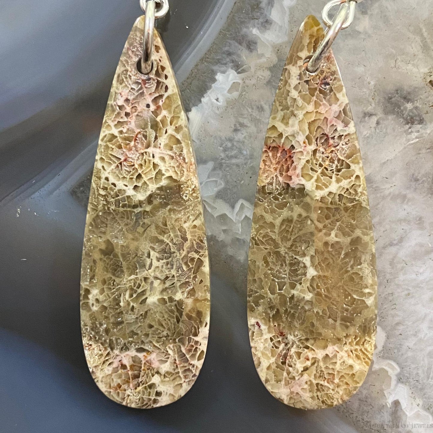 Sterling Silver Teardrop Fossilized Coral Slab Dangle Earrings For Women #056