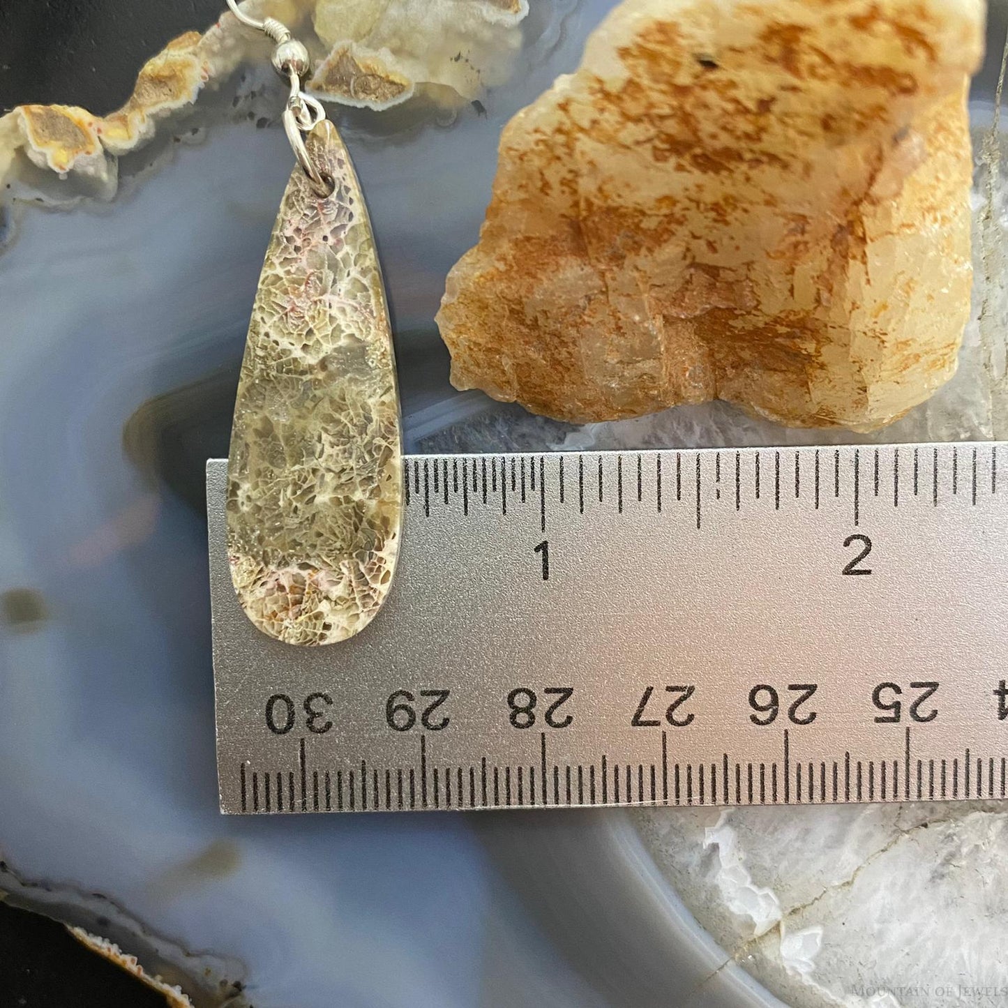 Sterling Silver Teardrop Fossilized Coral Slab Dangle Earrings For Women #056