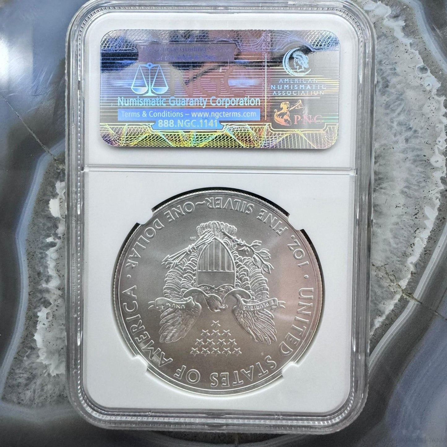2014 US 1.0oz .999 Fine Silver American Silver Eagle NGC MS69 #3857810-156EX