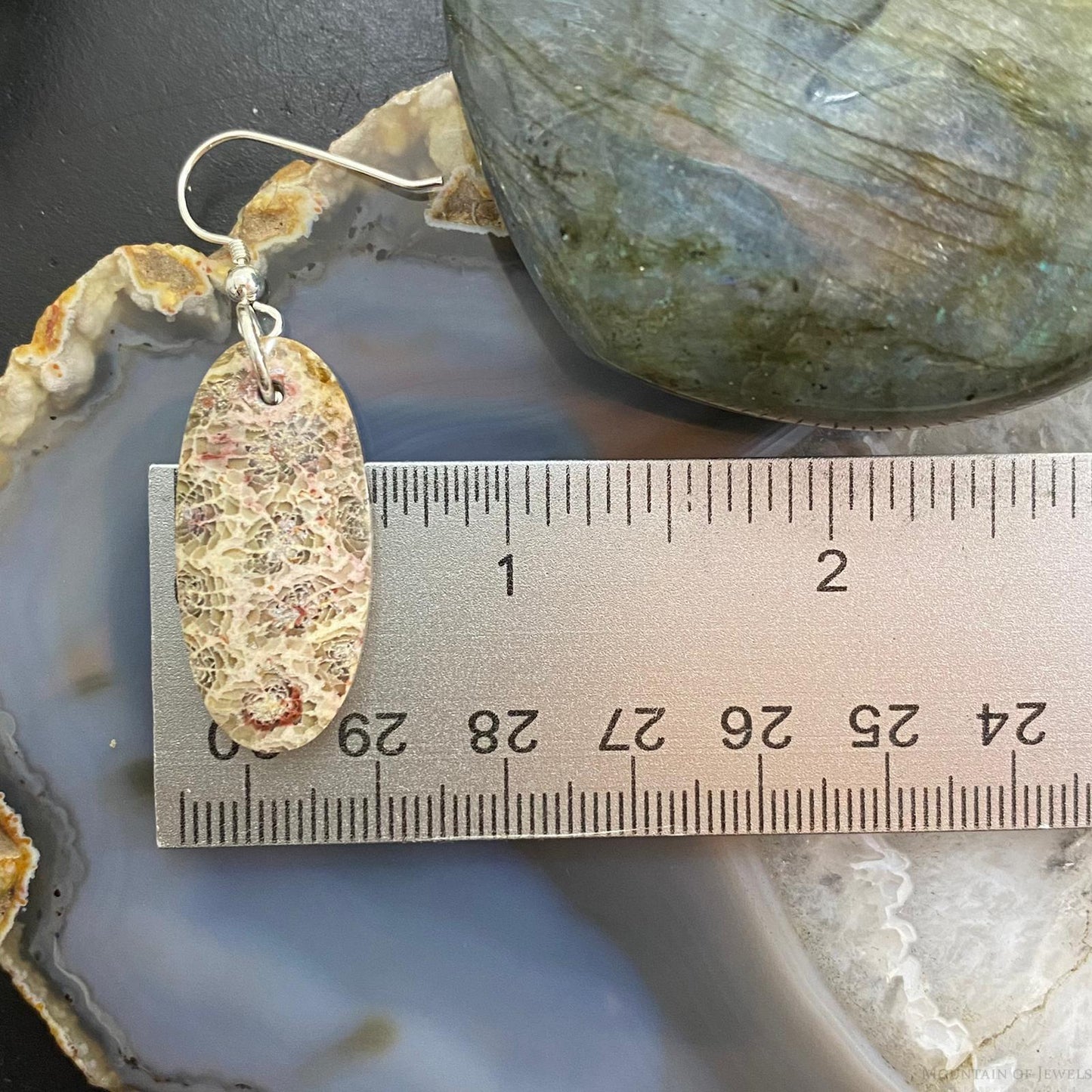 Sterling Silver Oval Fossilized Coral Slab Dangle Earrings For Women #055