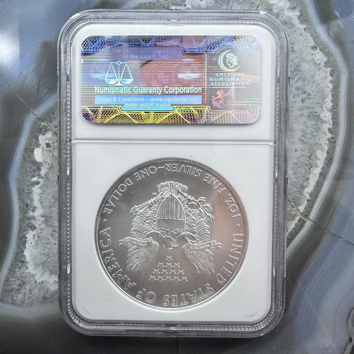 2009 US 1.0oz .999 Fine Silver American Silver Eagle NGC MS69 #3256288-322EX