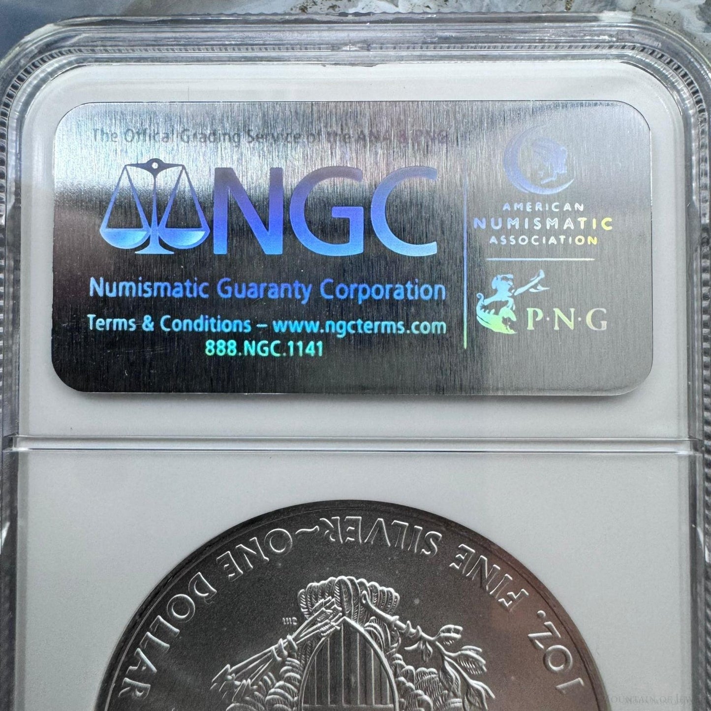 2009 US 1.0oz .999 Fine Silver American Silver Eagle NGC MS69 #3256702-225EX
