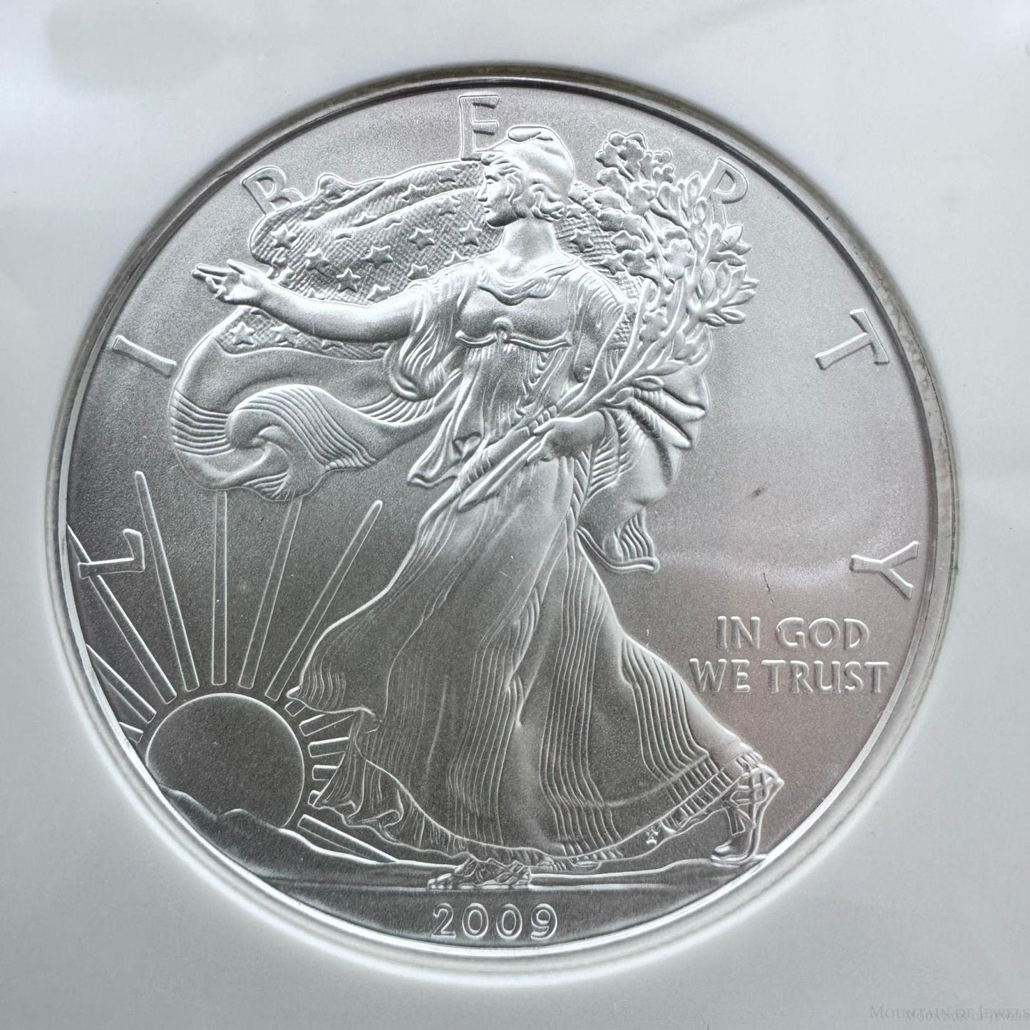 2009 US 1.0oz .999 Fine Silver American Silver Eagle NGC MS69 #3256702-225EX
