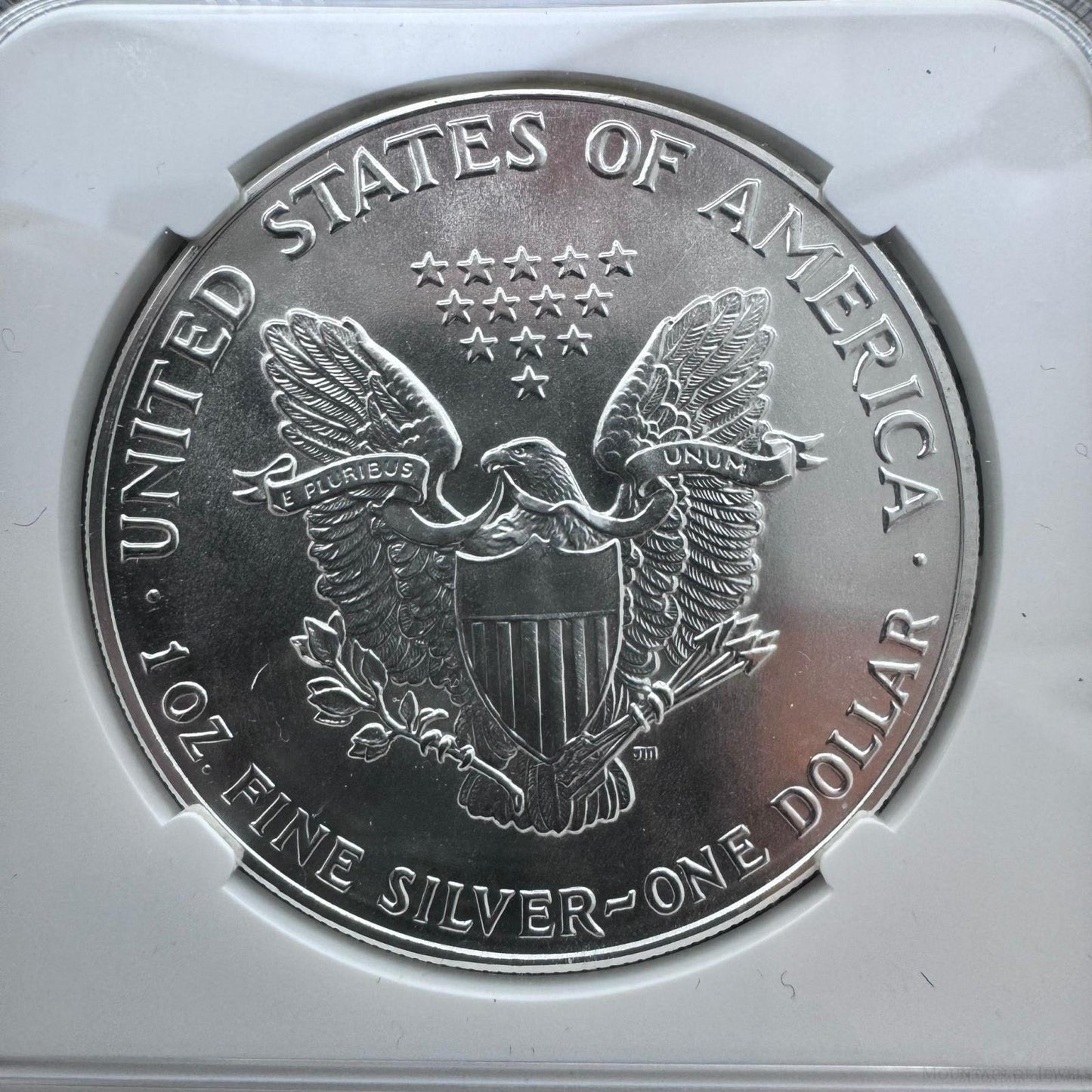 1987 US 1.0oz .999 Fine Silver American Silver Eagle NGC MS69 #6567385-123EG