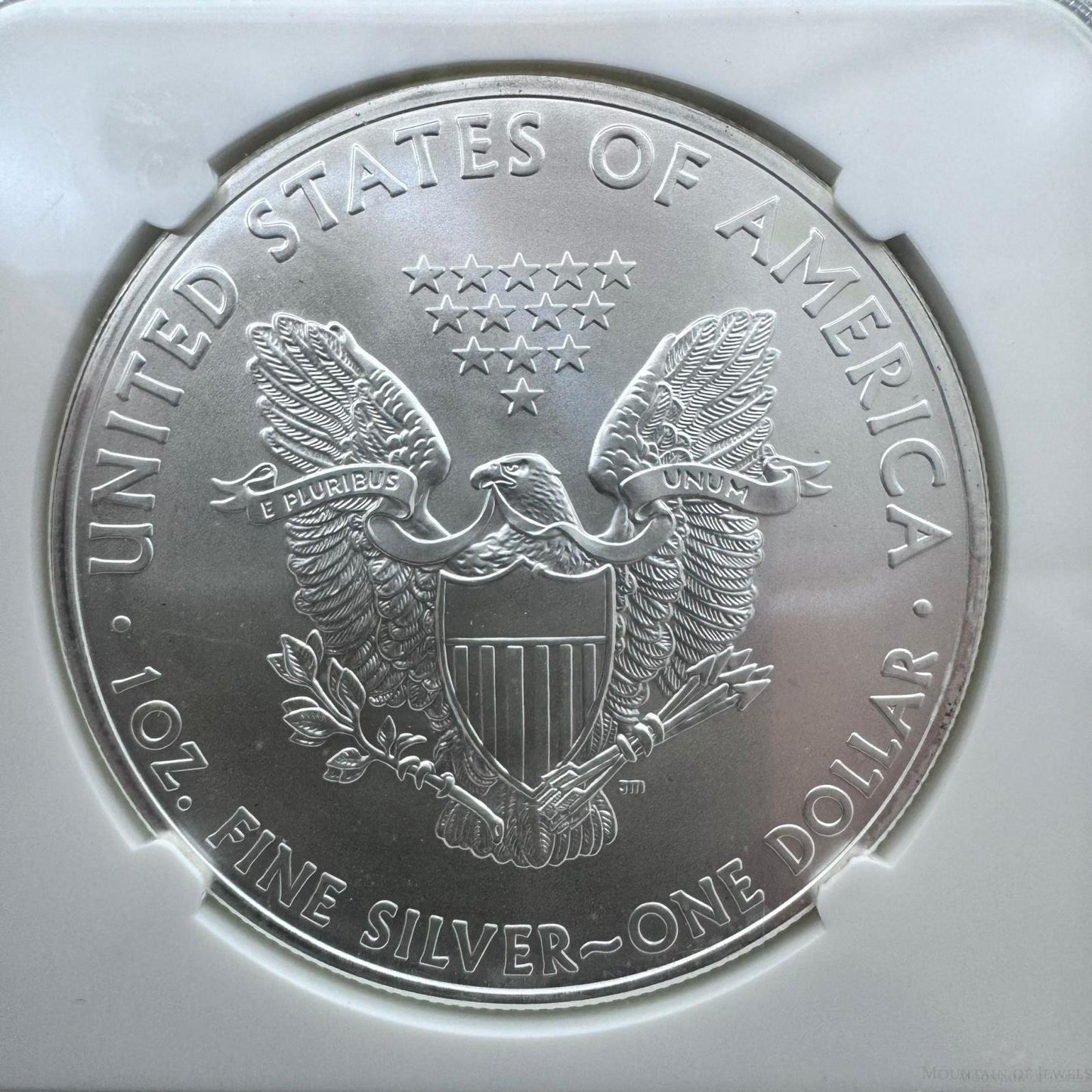 2014 US 1.0oz .999 Fine Silver American Silver Eagle NGC MS69 #3857810-156EX