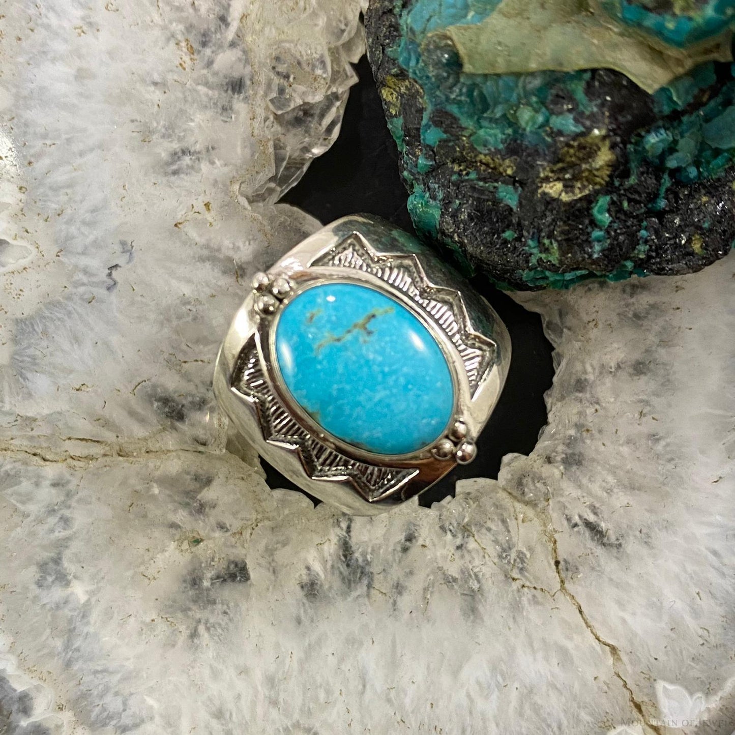Carolyn Pollack Southwestern Style Sterling Turquoise Shield Ring Size Variety