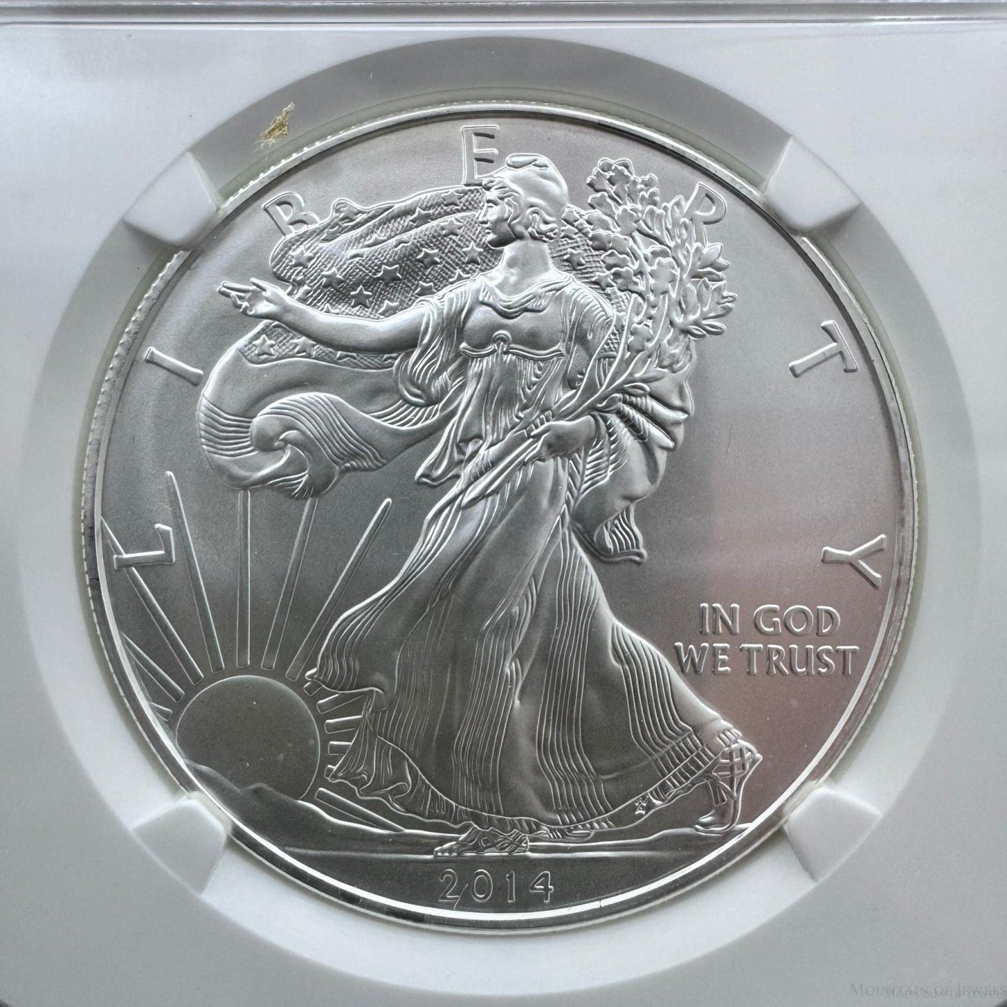 2014 US 1.0oz .999 Fine Silver American Silver Eagle NGC MS69 #3857810-156EX