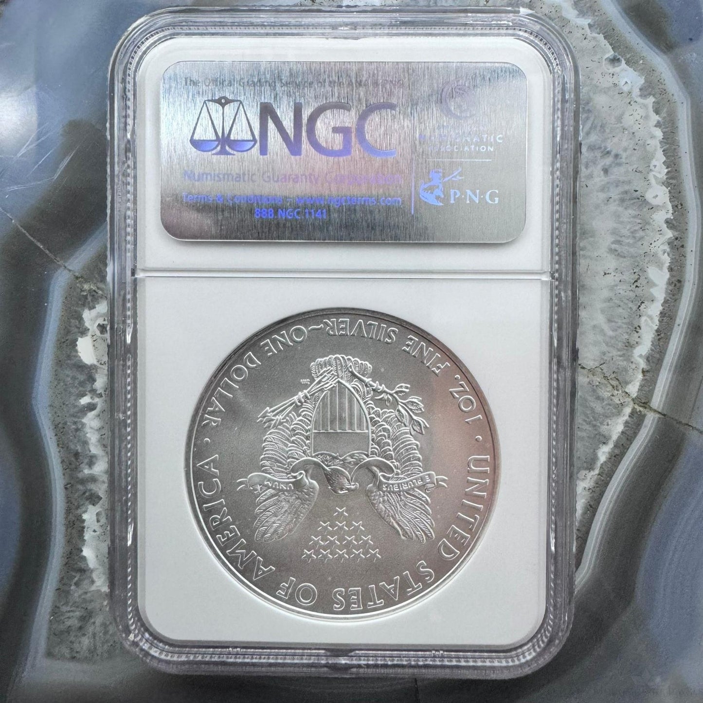 2009 US 1.0oz .999 Fine Silver American Silver Eagle NGC MS69 #3256702-225EX