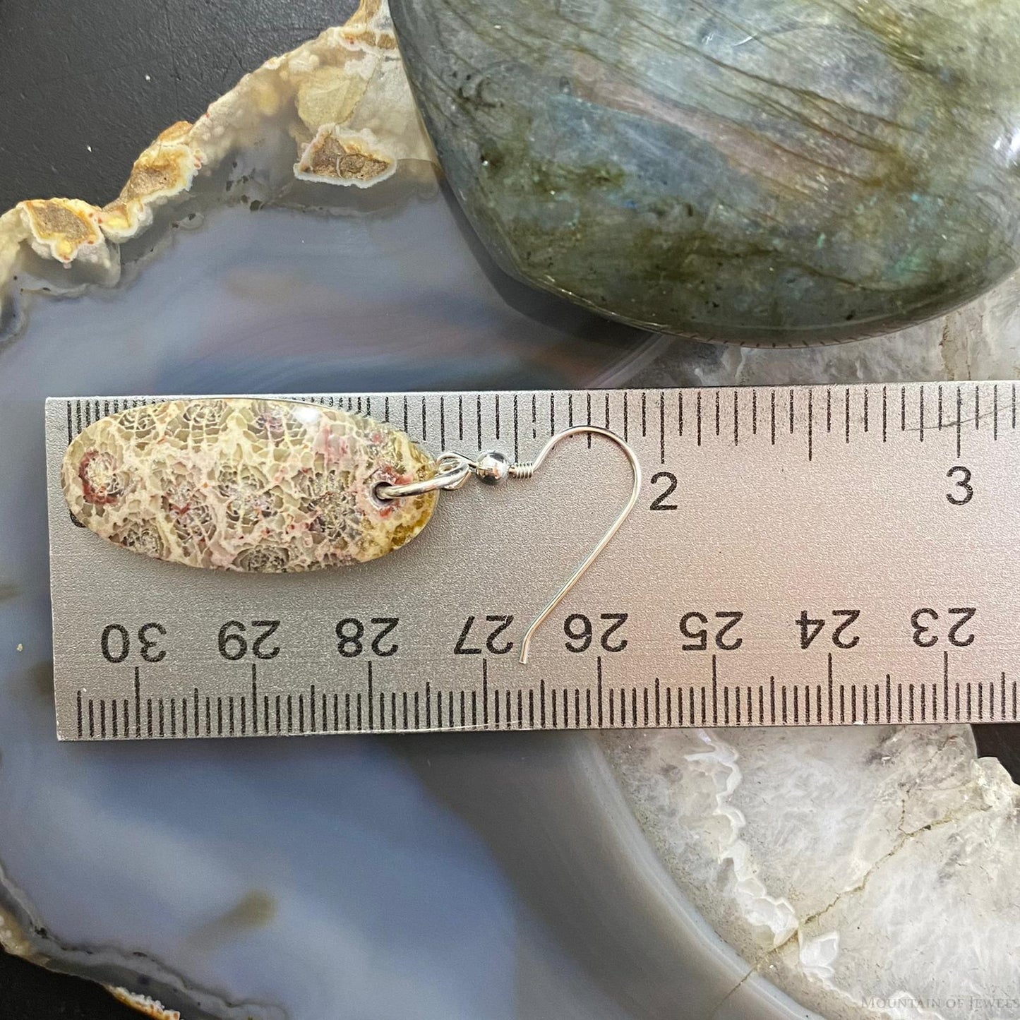 Sterling Silver Oval Fossilized Coral Slab Dangle Earrings For Women #055