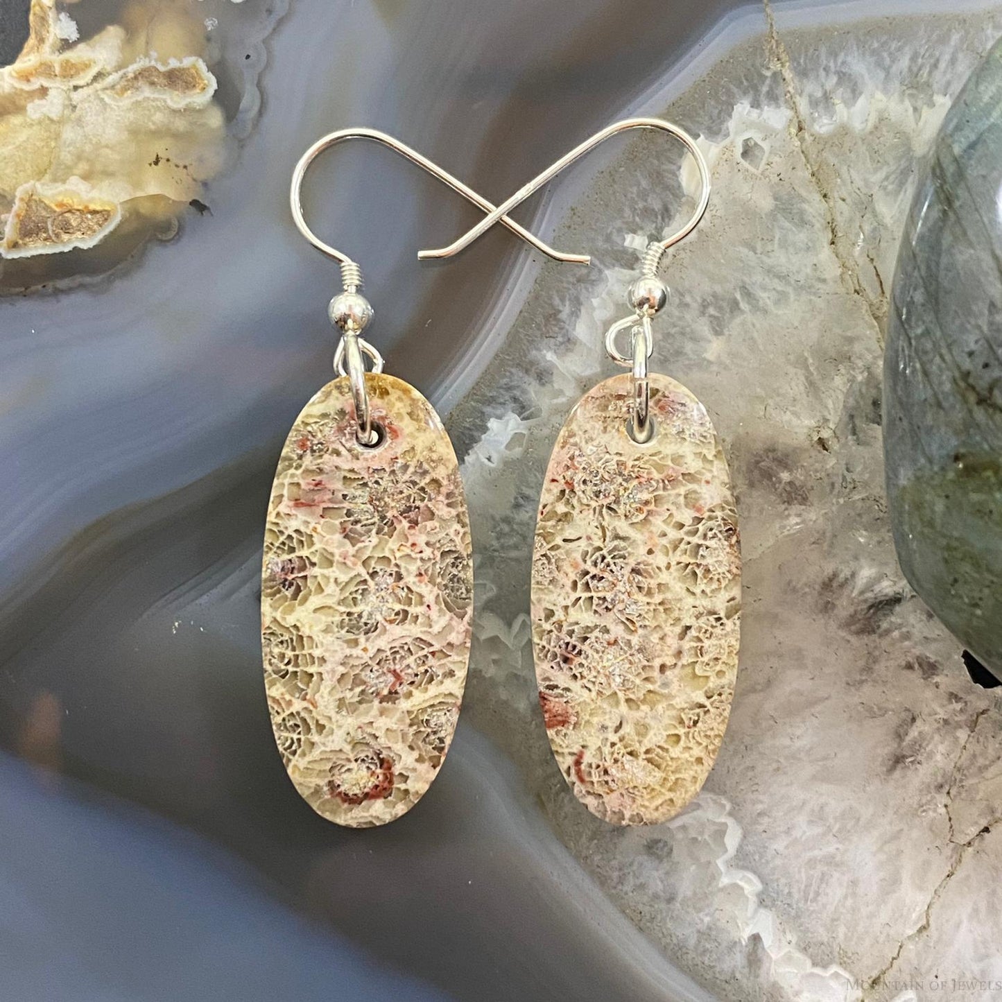 Sterling Silver Oval Fossilized Coral Slab Dangle Earrings For Women #055