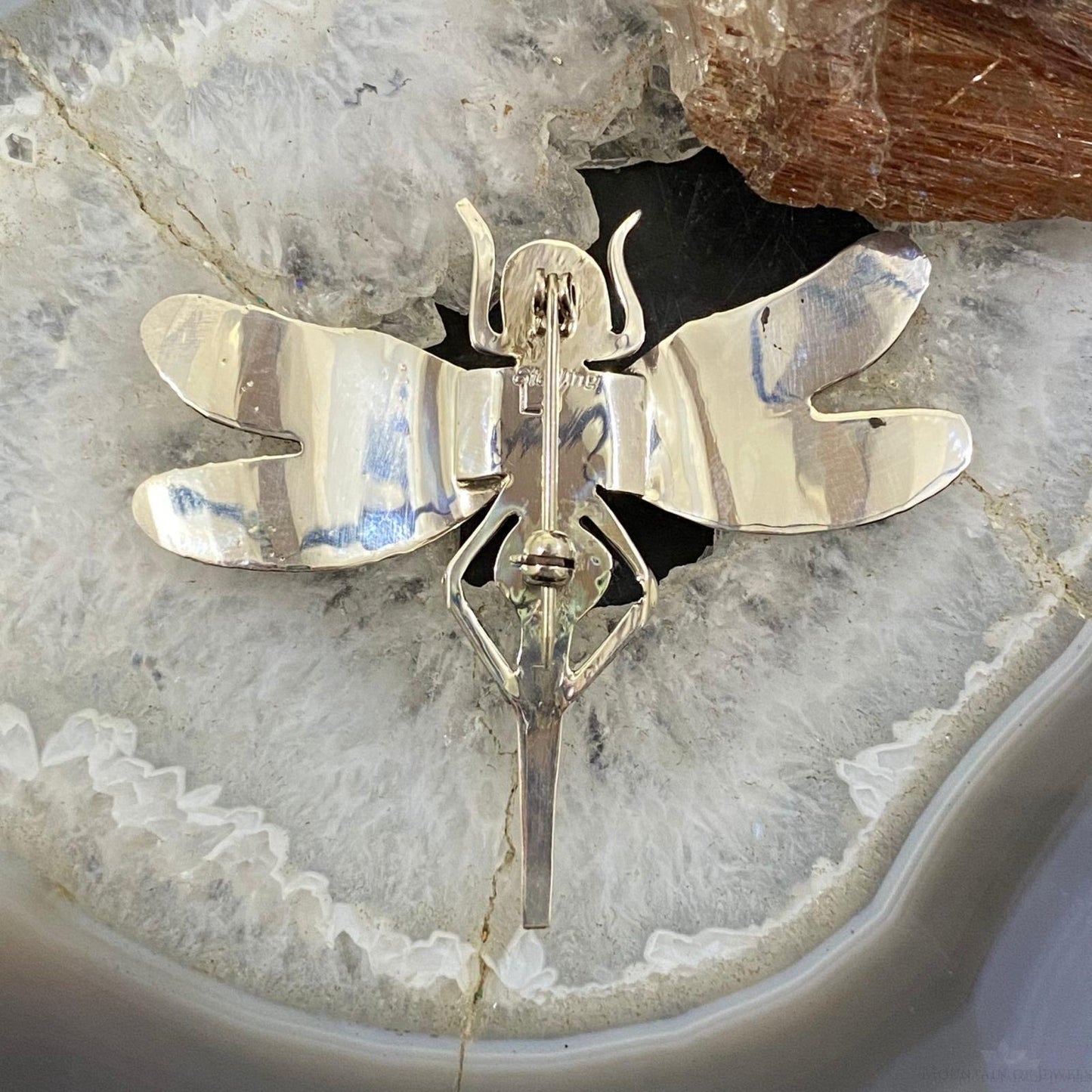 Native American Sterling Silver Oval Onyx Fly Unisex Brooch