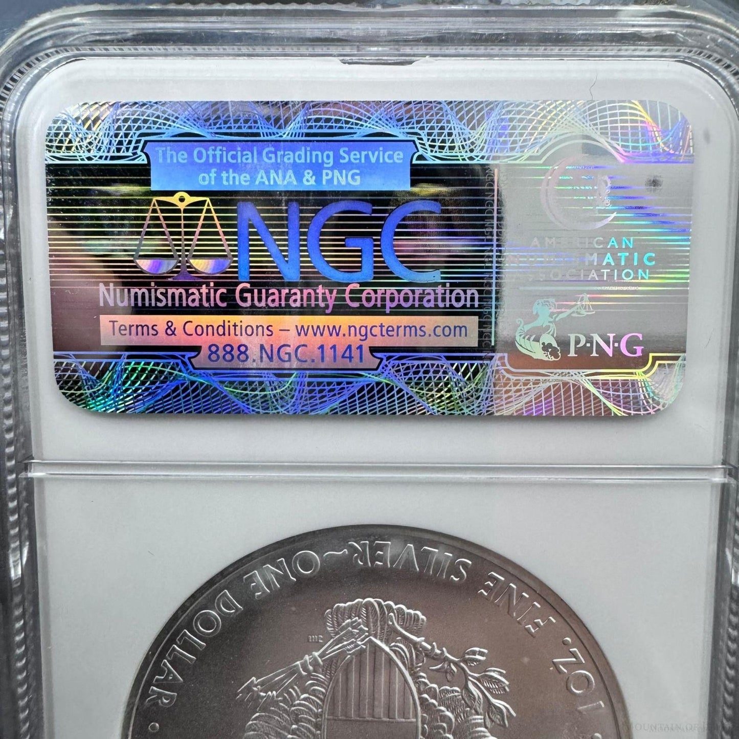 2009 US 1.0oz .999 Fine Silver American Silver Eagle NGC MS69 #3256288-321EX