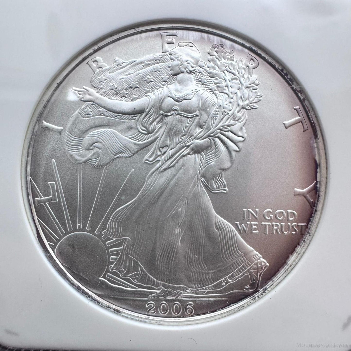 2006 US 1.0oz .999 Fine American Silver Eagle NGC MS69 #225