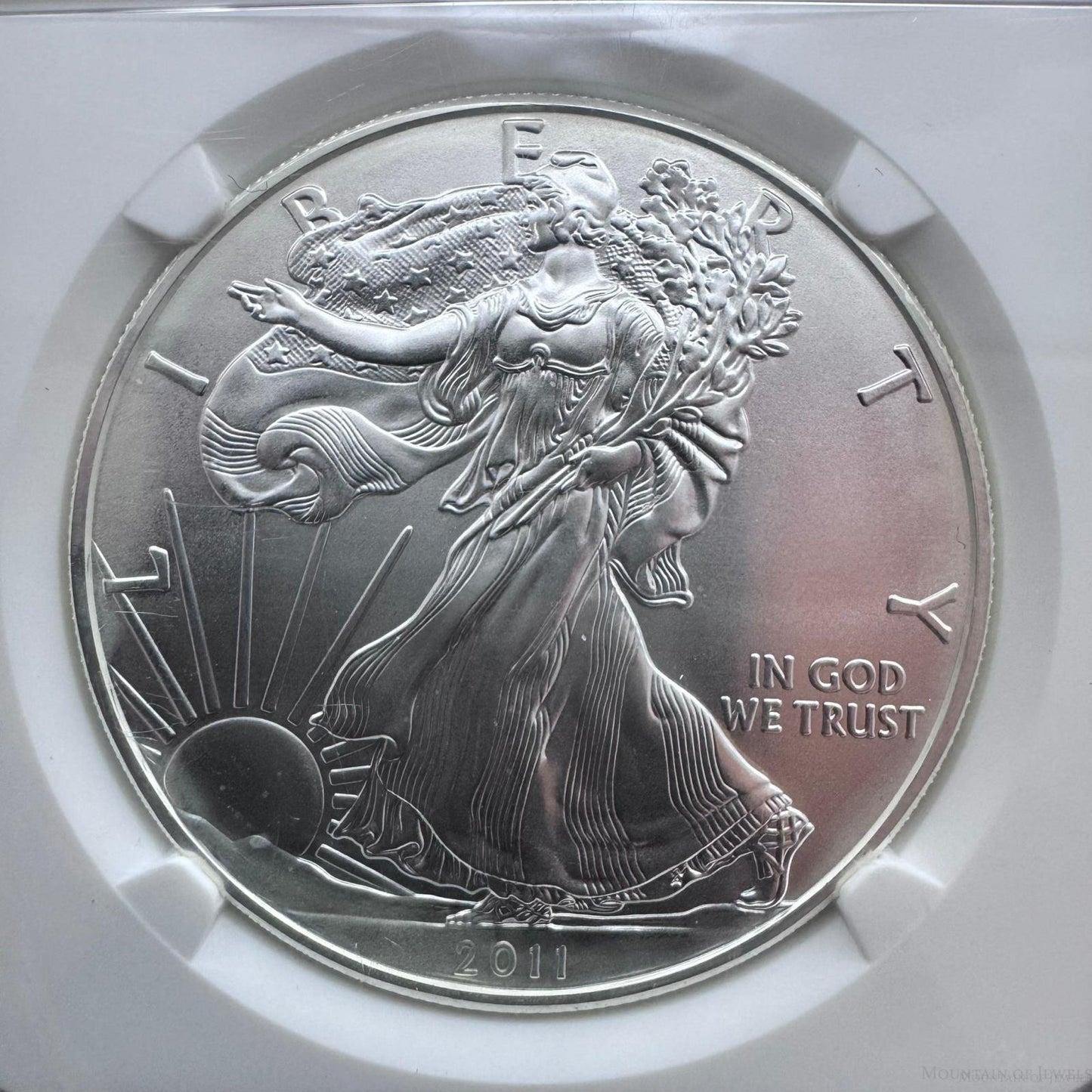2011 US 1.0oz .999 Fine American Silver Eagle 25th Year of Issue NGC MS69 #012