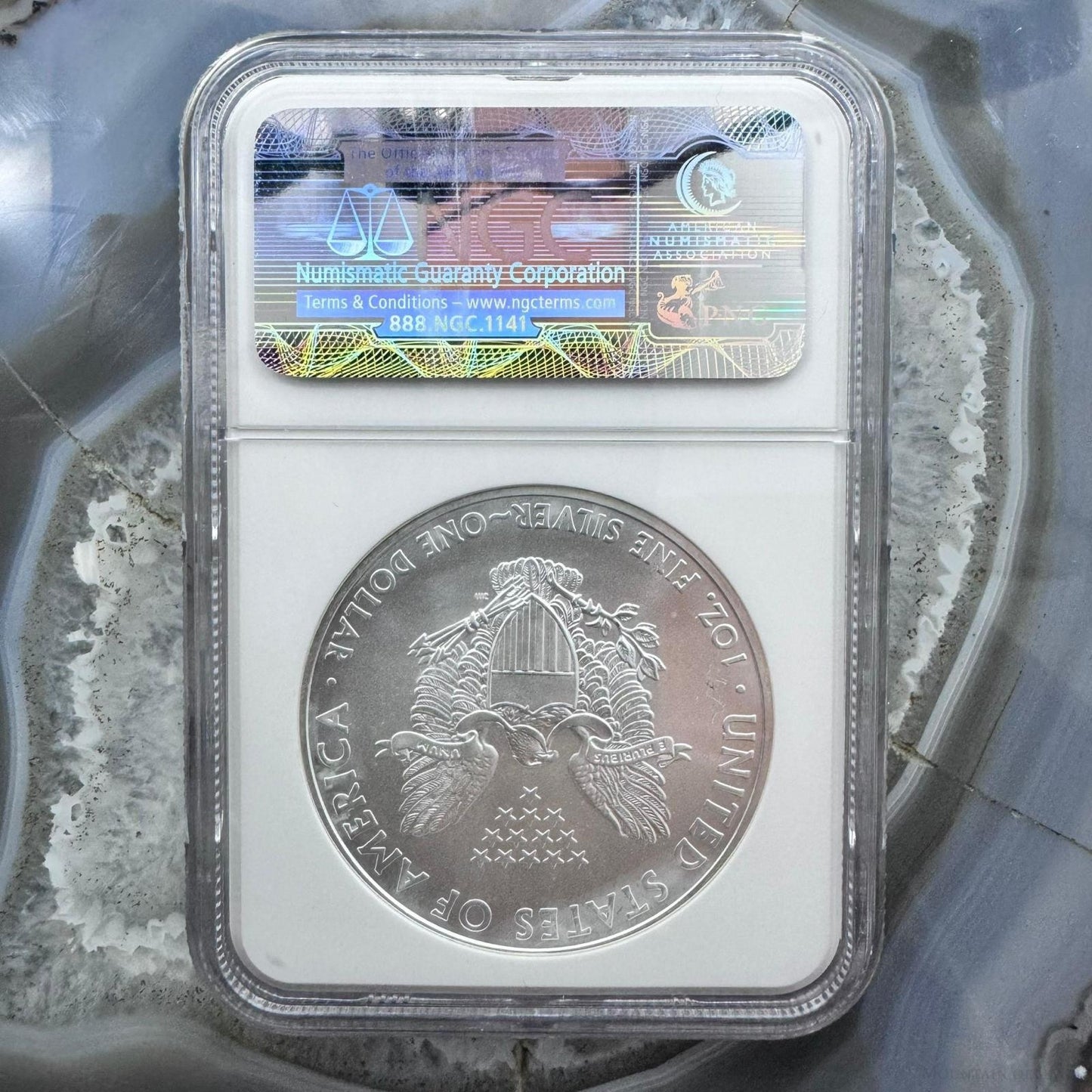 2009 US 1.0oz .999 Fine Silver American Silver Eagle NGC MS69 #3256288-321EX