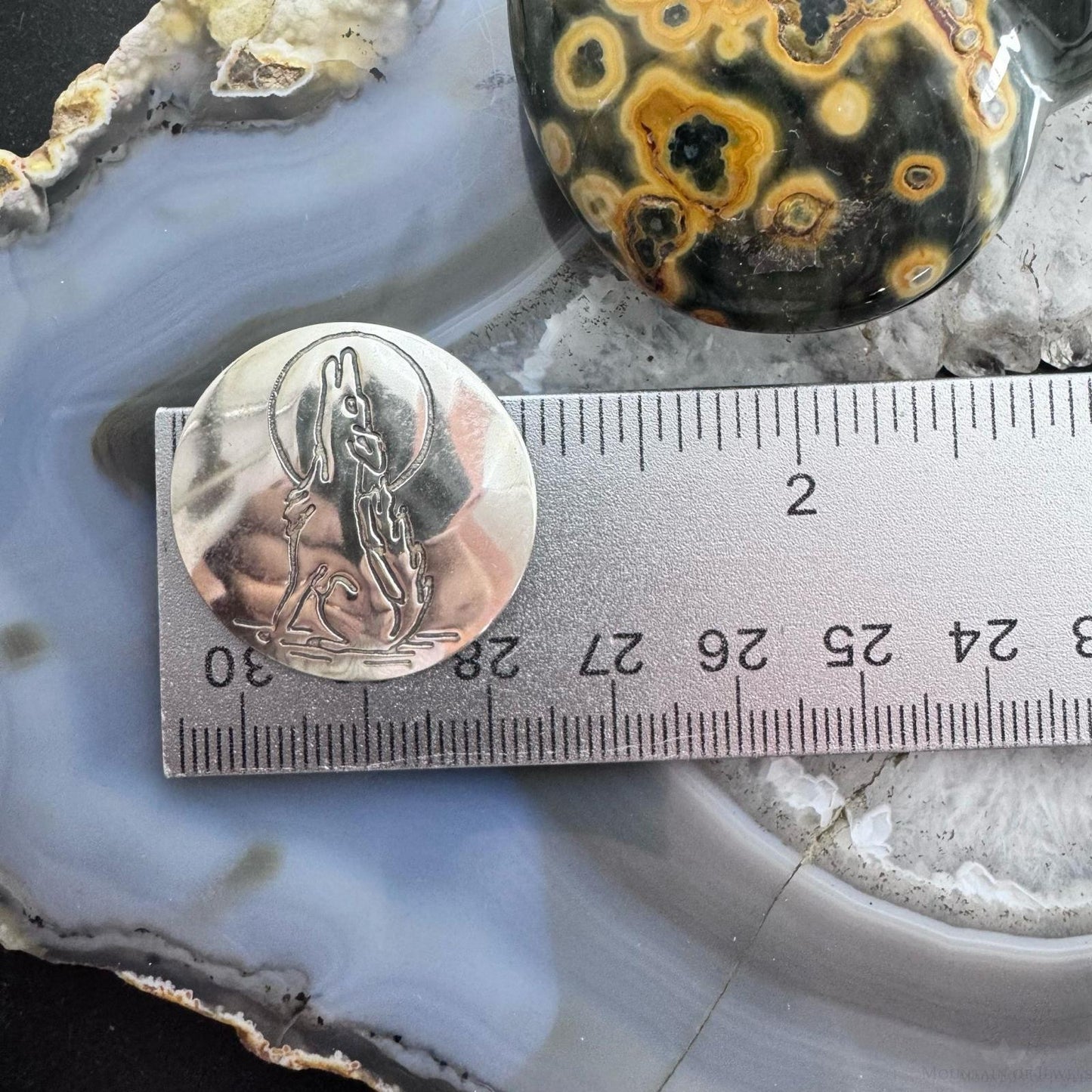 Native American Silver Stamped Coyote Rounded Post Earrings For Women