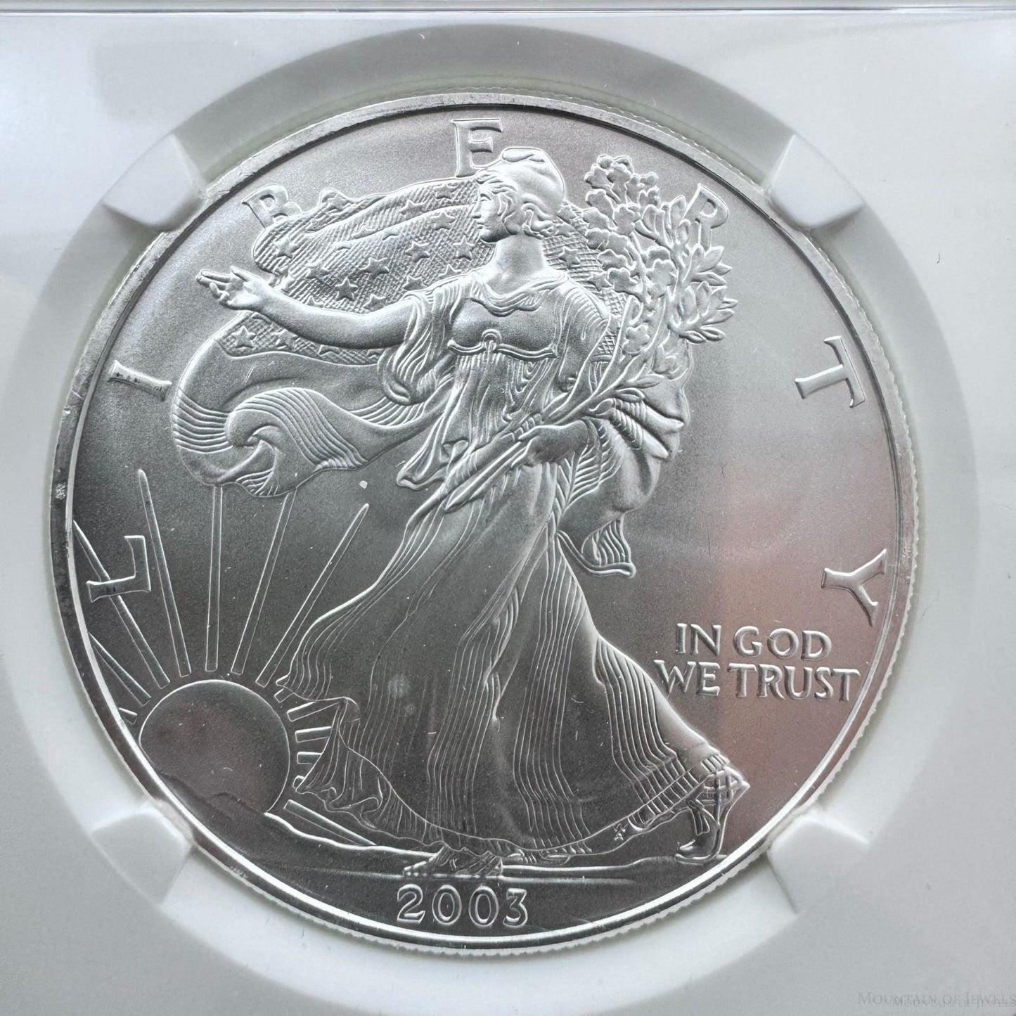 2003 US 1.0oz .999 Fine Silver American Silver Eagle NGC MS69 #3685628-116EX