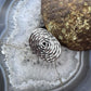 Sterling Silver Elliptic Swirly Rope Pattern Fashion Ring For Women,Taxco Mexico