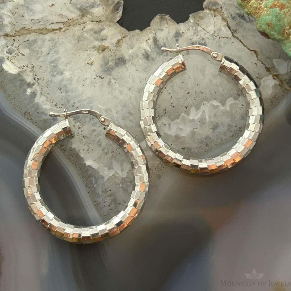 Sterling Silver Fashion Disco Ball Hoop Earrings For Women