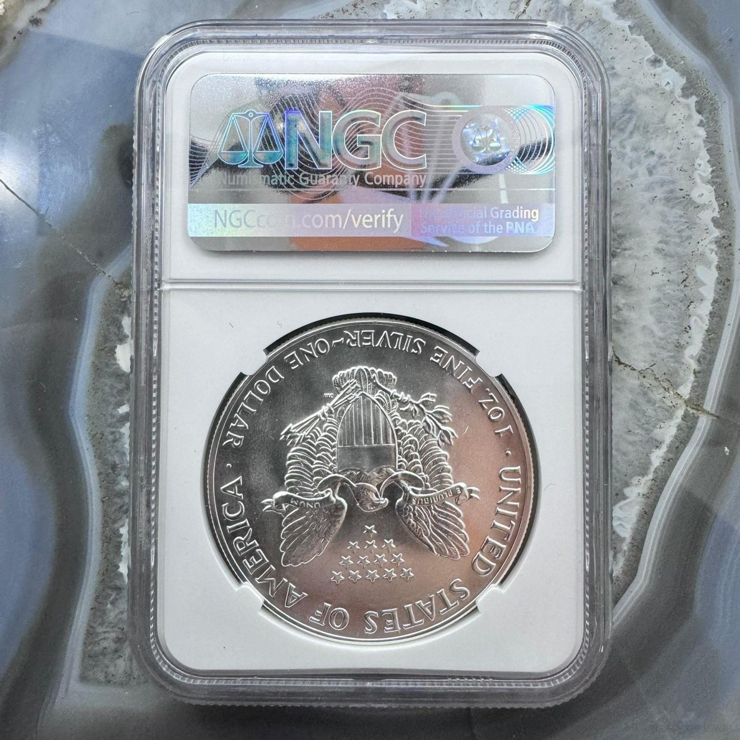 1987 US 1.0oz .999 Fine Silver American Silver Eagle NGC MS69 #6567385-123EG