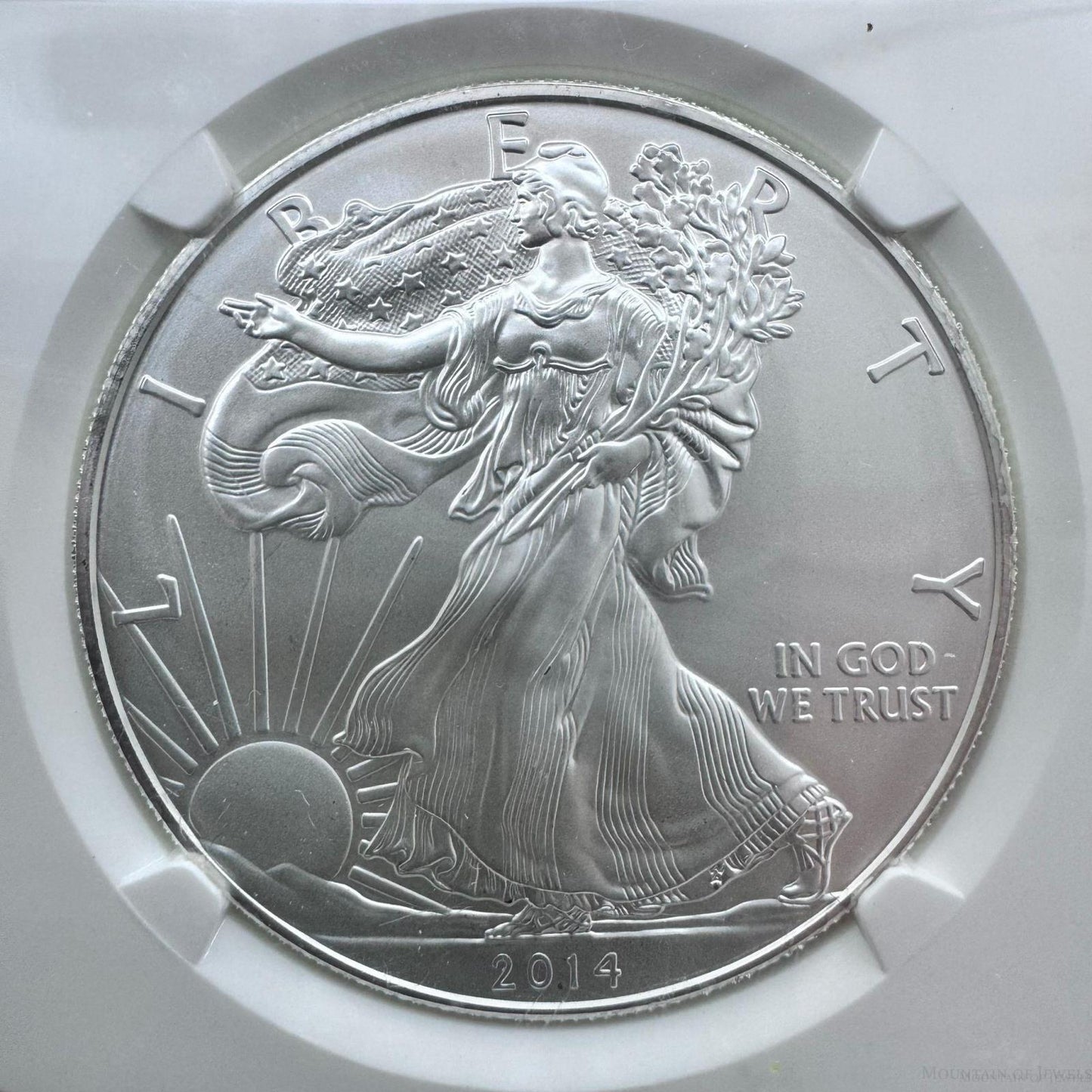 2014 US 1.0oz Early Release American Silver Eagle NGC MS69 #3857459-116EG