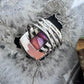 Sterling Silver Southwestern Style Rectangle Mohave Dahlia Ring Size 9.75 For Women