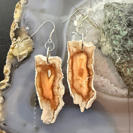 Sterling Silver Agate Slab Dangle Earrings For Women #405