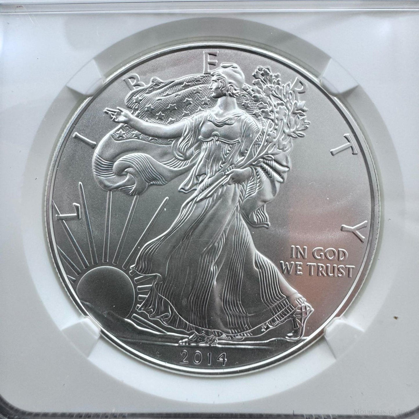 2014 US American Silver Eagle .999 Fine Silver NGC MS69 #6076808-121