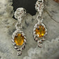 Carolyn Pollack Sterling Silver Faceted Citrine Dangle Earrings For Women