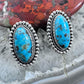 Native American Sterling Silver Oval Turquoise Decorated Post Earrings For Women