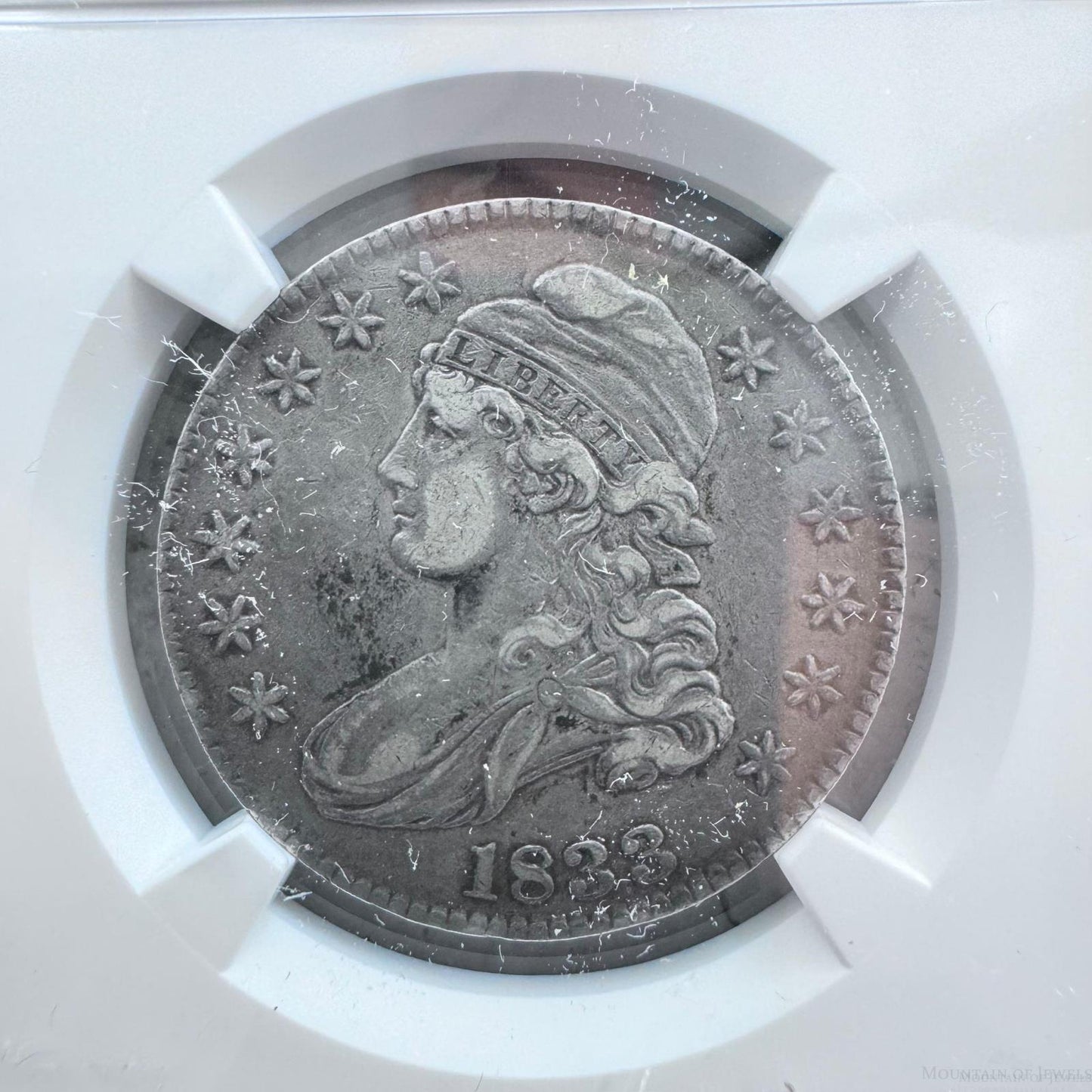 1833 Capped Bust Liberty Half Dollar 90% Silver NGC XF45 #009-DX