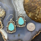 Sterling Silver Southwestern Style Turquoise Decorated Dangle Earrings For Women #4