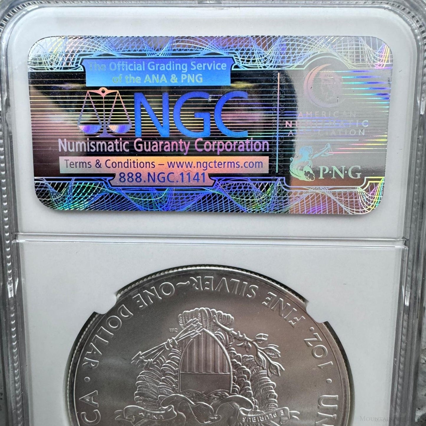 2014 US 1.0oz .999 Fine Silver American Silver Eagle NGC MS69 #3857810-156EX
