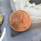 New Tube of 20 One Ounce 999 Fine Copper Indian Head Buffalo Rounds