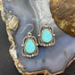 Sterling Silver Southwestern Style Turquoise Decorated Dangle Earrings For Women #4