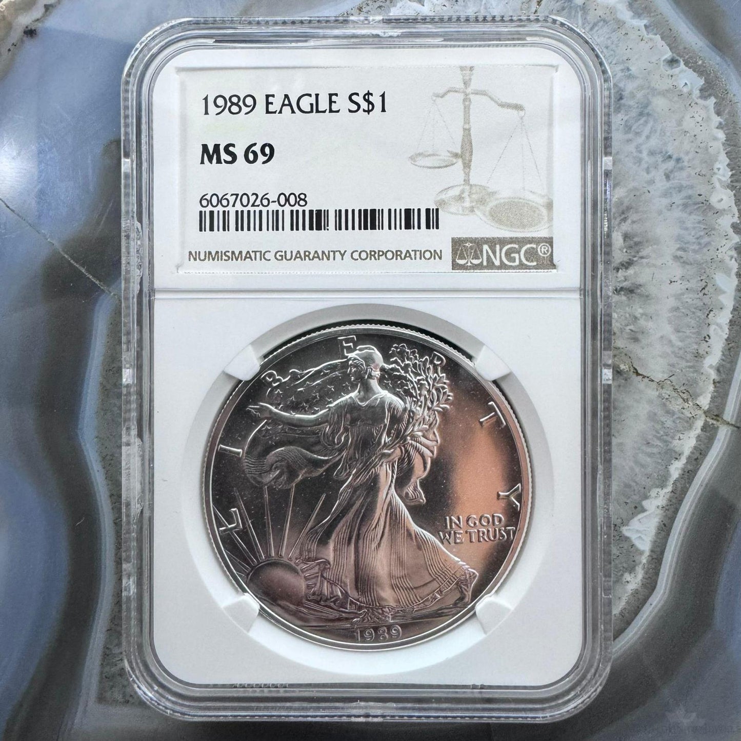 1989 US 1.0oz.999 Fine Silver American Silver Eagle NGC MS69 #6067026-008EG