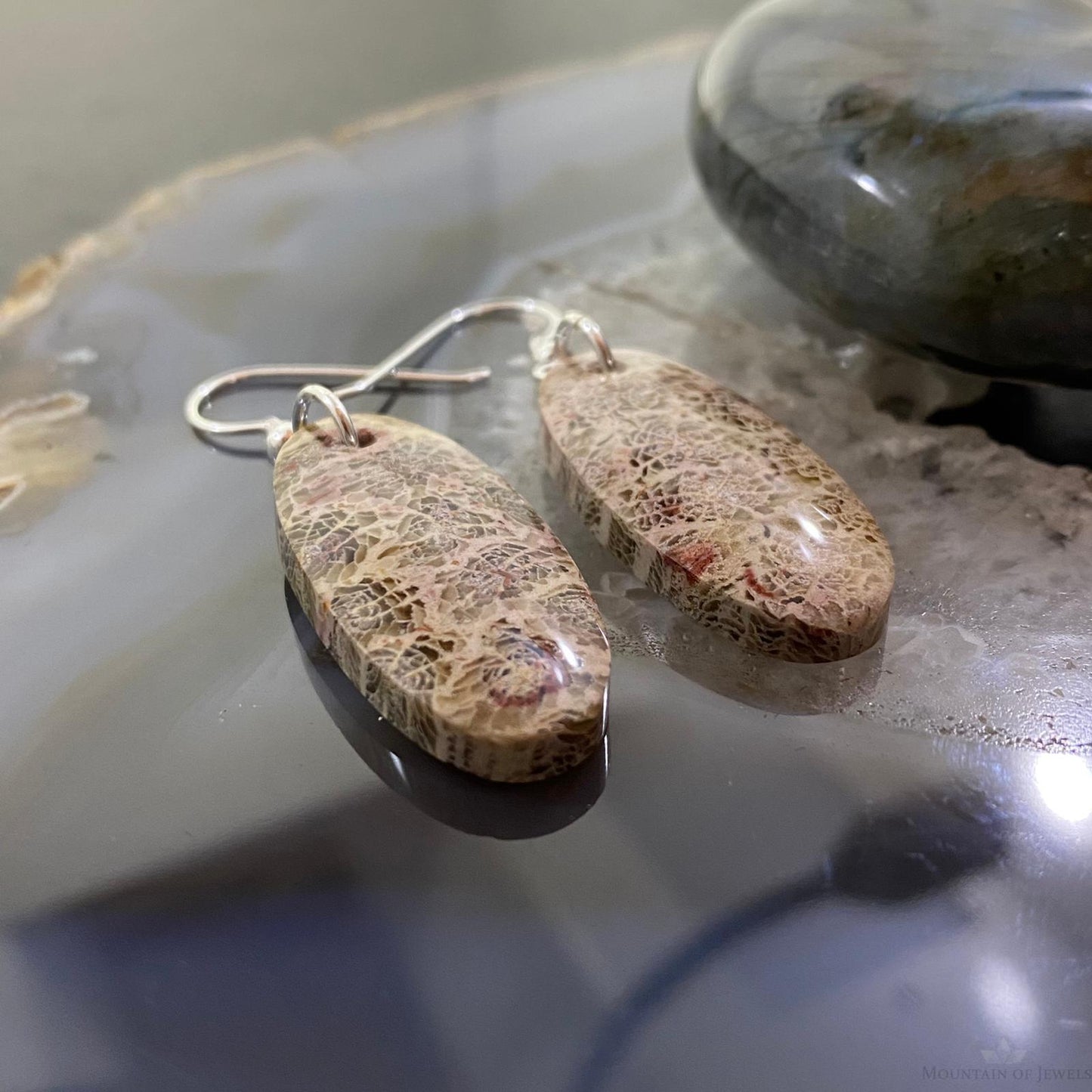 Sterling Silver Oval Fossilized Coral Slab Dangle Earrings For Women #055